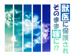 獣医に保護されそのまま嫁に!?-野良たぬきは柔和な獣医と銀ギツネに溺愛されます- [E-Romance]