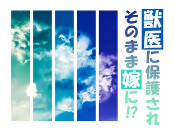 獣医に保護されそのまま嫁に!?-野良たぬきは柔和な獣医と銀ギツネに溺愛されます- [E-Romance]