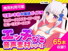 格安!商用利用も可能なR18音声素材第10弾: 片桐秋 Full ver [Pincree]