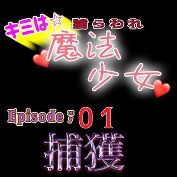 君は捕らわれ魔法少女Vol,01『捕獲』 [紳士な変態]