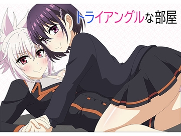 トライアングルな部屋 [アトリエ GONS]