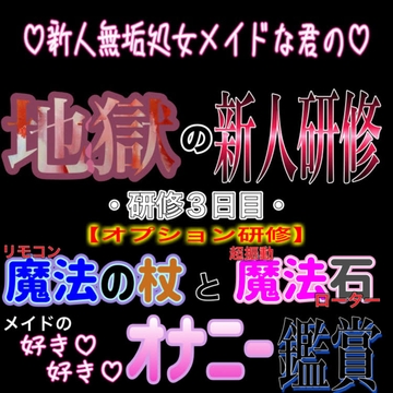 新人無垢処女メイドな君の地獄の新人研修 ～【研修3日目】～ 『オプション研修』 [紳士な変態]