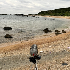 久米島 - トクジム自然公園 07:05am 20230204