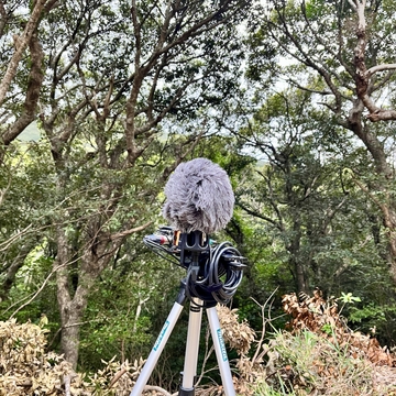 久米島 - アーラ林道 08:24am 20230204 (HPLバイノーラル) [UZrecords]