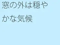 窓の外は穏やかな気候