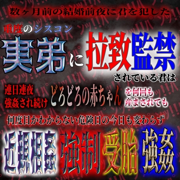 君を犯した重度のシスコン実弟に拉致監禁近親相○強○受胎強○ [紳士な変態]