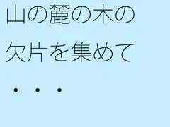 山の麓の木の欠片を集めて・・・