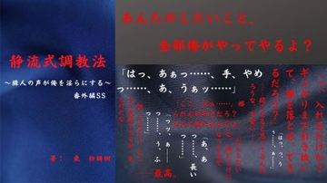 静流式調教法 [TRY出版]