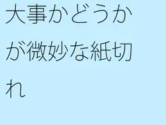大事かどうかが微妙な紙切れ