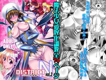 DISTRICT N vol.2 [BOBCATERS]