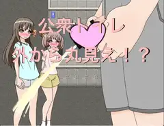 公衆トイレ 外から丸見え!?