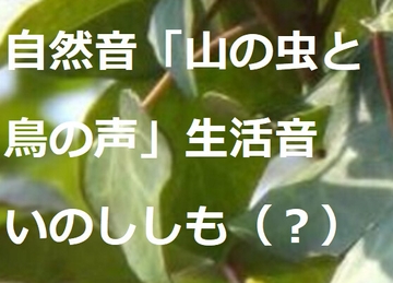 自然音「山の虫と鳥の声」生活音 [にくきゅう ぽこ]