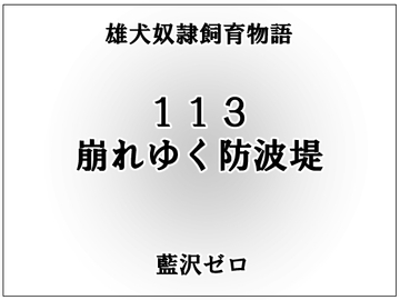 小説113「崩れゆく防波堤」 [frontierkiss]