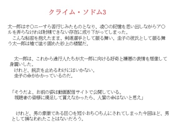 クライム・ソドム3 [金目堂]