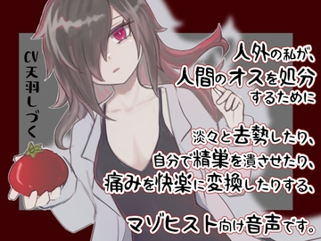 人外の私が、人間のオスを処分するために淡々と去勢したり、自分で精巣を潰させたり、痛みを快楽に変換したりする、マゾヒスト向け音声です。 [天羽しづくのピンクな世界]