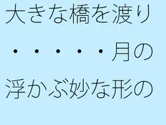 大きな橋を渡り・・・・・月の浮かぶ妙な形の交差点へ