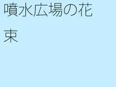 噴水広場の花束