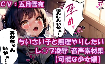 ち〇さい子と無理やりしたい レ○プ凌○ 音声素材集【可憐な少女編】 [無理やりしたい]