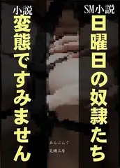 日曜日の奴○たち/変態ですみません