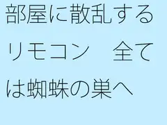 部屋に散乱するリモコン 全ては蜘蛛の巣へ