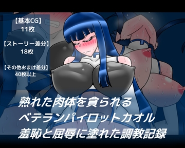 熟れた肉体を貪られるベテランパイロットカオル羞恥と屈辱に塗れた調教記録 [dimension empire]