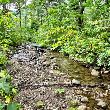 20230904 11:24am 妙高市直川支流 [FLAC] [UZrecords]