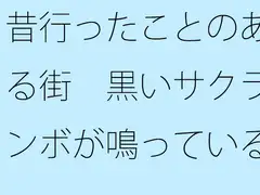 昔行ったことのある街 黒いサクランボが鳴っている並木道