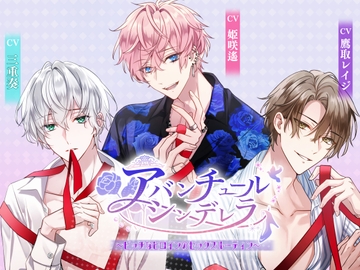 アバンチュールシンデレラ〜ビッチなヒロインのセックスルーティン〜 [ALKERD]