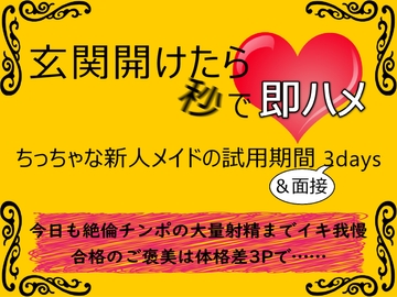 玄関開けたら秒で即ハメ～ちっちゃな新人メイドの試用期間3days&面接～ [方桐]