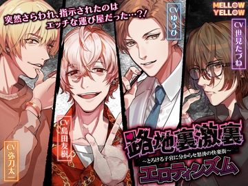 路地裏激裏エロティシズム〜とろける子宮に分からセ怒涛の快楽街〜 [MELLOW YELLOW]