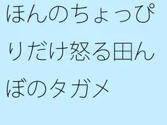 ほんのちょっぴりだけ怒る田んぼのタガメ
