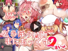 とうほう動画まにあっくす2濃いめ [全数破壊検査]