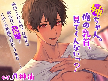 姉ちゃん。俺の乳首、見てくんないっ? [Errai]