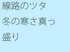 線路のツタ 冬の寒さ真っ盛り