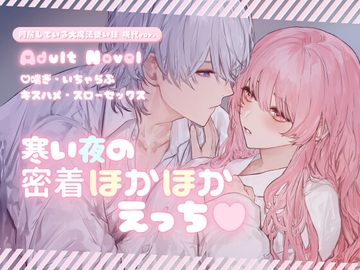寒い夜の密着ほかほかえっち [さくらんぶ]