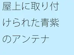 屋上に取り付けられた青紫のアンテナ