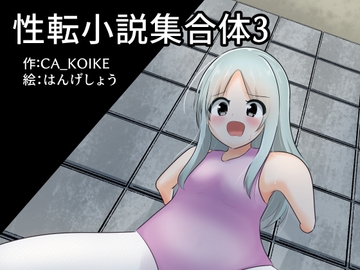 性転小説 集合体3 [けいありむ]