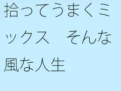 拾ってうまくミックス そんな風な人生