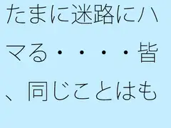 たまに迷路にハマる・・・・皆、同じことはもう明らか