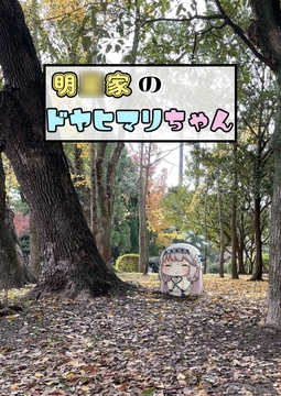 明◯家のドヤヒマリちゃん [ぽちぽち]