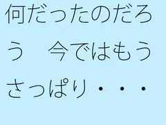 何だったのだろう 今ではもうさっぱり・・・・
