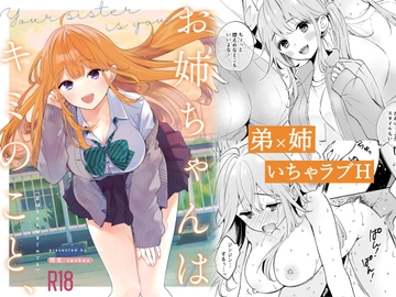 お姉ちゃんはキミのこと、 [閃光]