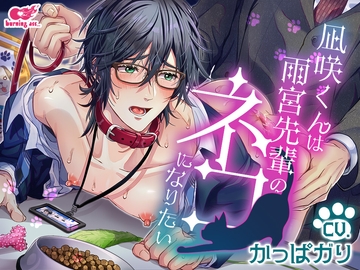 凪咲くんは雨宮先輩のネコになりたい [burning ass...]