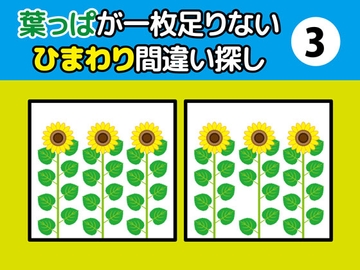 葉っぱが一枚足りないひまわり間違い探し(3) [nerisamabunko]