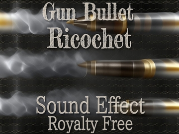 銃 弾丸の跳弾 効果音 02 Old Type [Sanctuary]
