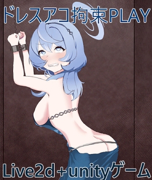 ドレスアコ拘束PLAY [竜落子]