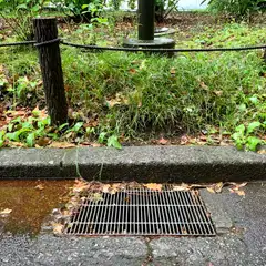 雨傘と雨水溝