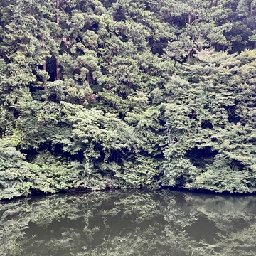 20230709 06:21pm 散在ガ池森林公園 [UZrecords]