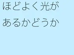 ほどよく光があるかどうか