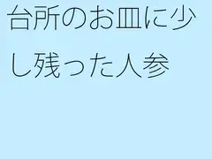台所のお皿に少し残った人参